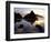 Sunset on the Oregon Coast at Harris Beach State Park, Oregon, USA-Jerry Ginsberg-Framed Photographic Print