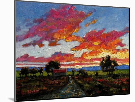 Sunset on the Plains-Patty Baker-Mounted Art Print