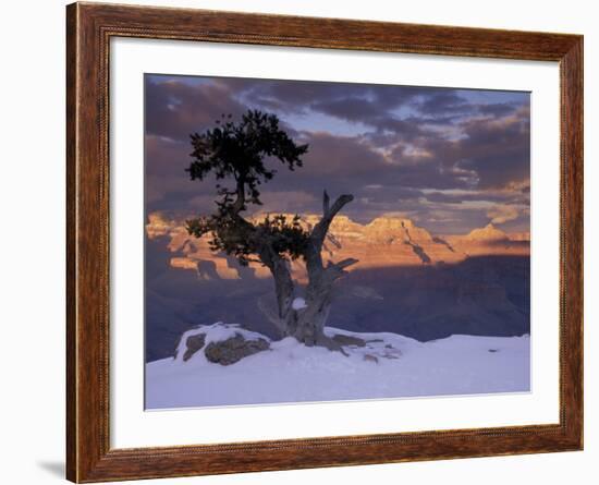 Sunset on the South Rim, Grand Canyon National Park, Arizona, USA-Darrell Gulin-Framed Photographic Print