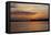 Sunset on the Ucayali River, Amazon Basin of Peru-Mallorie Ostrowitz-Framed Premier Image Canvas