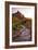 Sunset on the Watchman II-Danny Head-Framed Photographic Print