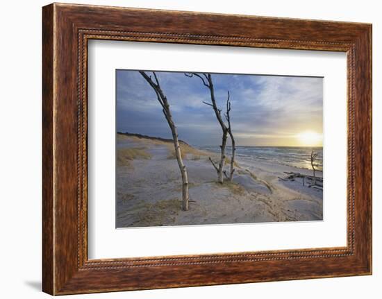 Sunset on the Western Beach of Darss Peninsula-Uwe Steffens-Framed Photographic Print