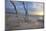 Sunset on the Western Beach of Darss Peninsula-Uwe Steffens-Mounted Photographic Print