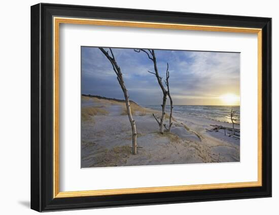 Sunset on the Western Beach of Darss Peninsula-Uwe Steffens-Framed Photographic Print