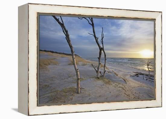 Sunset on the Western Beach of Darss Peninsula-Uwe Steffens-Framed Premier Image Canvas