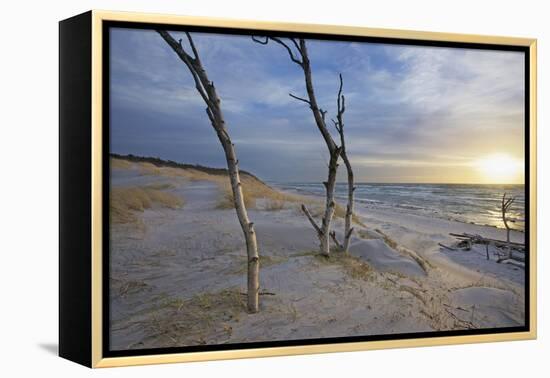 Sunset on the Western Beach of Darss Peninsula-Uwe Steffens-Framed Premier Image Canvas