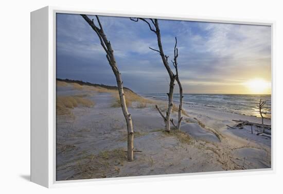 Sunset on the Western Beach of Darss Peninsula-Uwe Steffens-Framed Premier Image Canvas