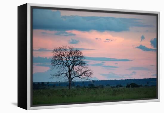 Sunset over a Farm and Cerrado Landscape in Bonito-Alex Saberi-Framed Premier Image Canvas