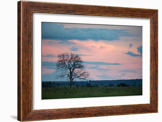 Sunset over a Farm and Cerrado Landscape in Bonito-Alex Saberi-Framed Photographic Print