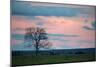 Sunset over a Farm and Cerrado Landscape in Bonito-Alex Saberi-Mounted Photographic Print