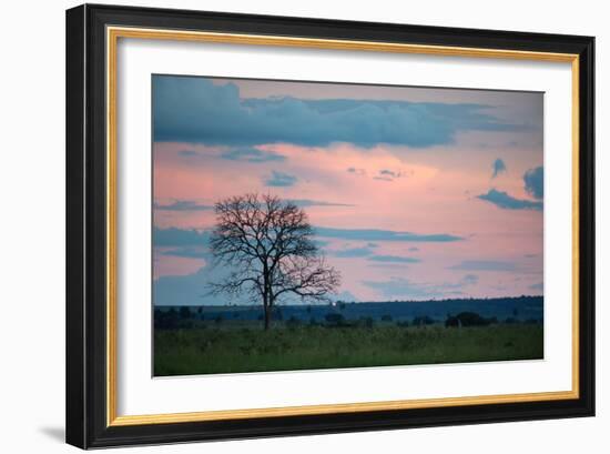 Sunset over a Farm and Cerrado Landscape in Bonito-Alex Saberi-Framed Photographic Print