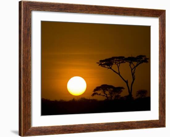Sunset over a Forest, Serengeti, Tanzania-null-Framed Photographic Print