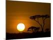 Photographic Print