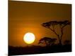 Photographic Print
