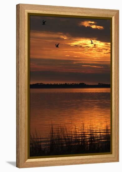 Sunset over a Lake at Panacea, Northern Florida, Usa-Natalie Tepper-Framed Stretched Canvas