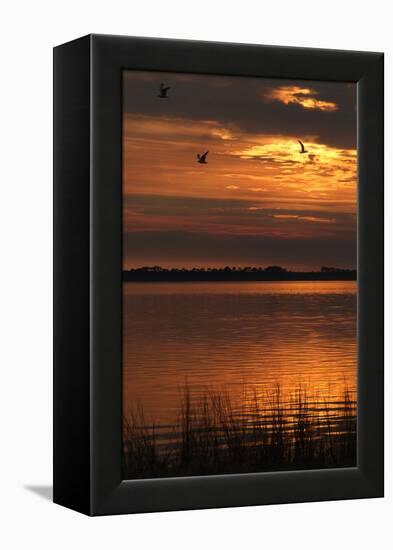 Sunset over a Lake at Panacea, Northern Florida, Usa-Natalie Tepper-Framed Stretched Canvas