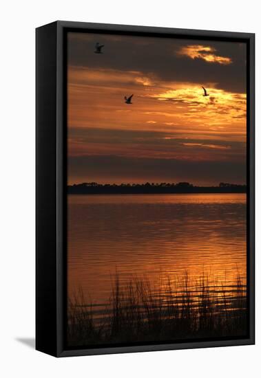 Sunset over a Lake at Panacea, Northern Florida, Usa-Natalie Tepper-Framed Stretched Canvas