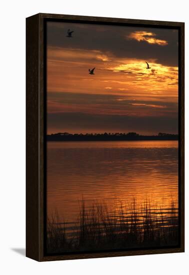 Sunset over a Lake at Panacea, Northern Florida, Usa-Natalie Tepper-Framed Stretched Canvas