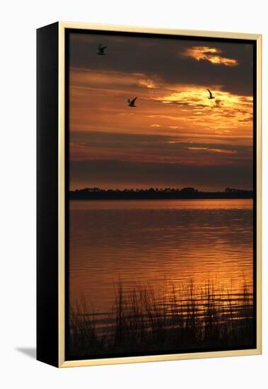 Sunset over a Lake at Panacea, Northern Florida, Usa-Natalie Tepper-Framed Stretched Canvas