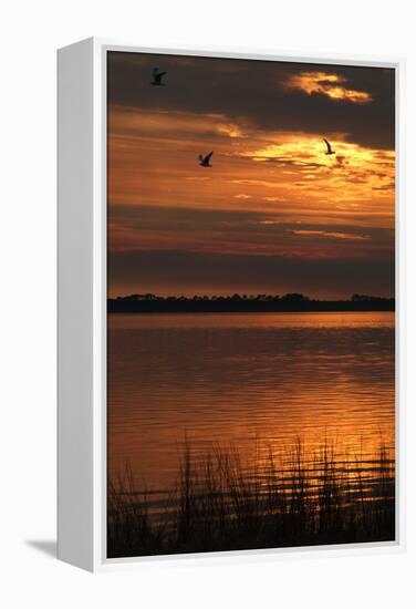 Sunset over a Lake at Panacea, Northern Florida, Usa-Natalie Tepper-Framed Stretched Canvas