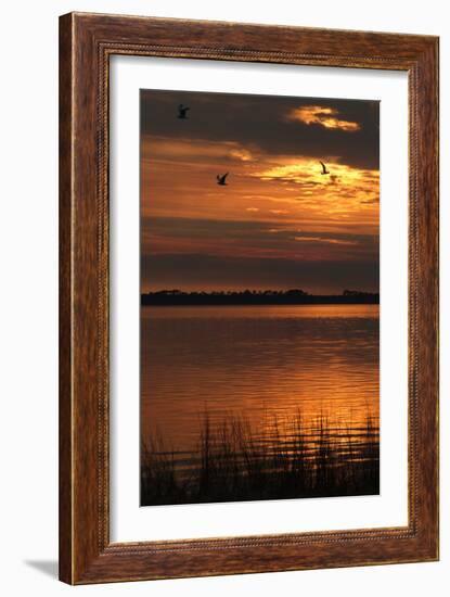 Sunset over a Lake at Panacea, Northern Florida, Usa-Natalie Tepper-Framed Photo