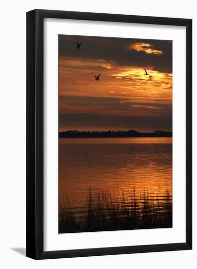 Sunset over a Lake at Panacea, Northern Florida, Usa-Natalie Tepper-Framed Photo