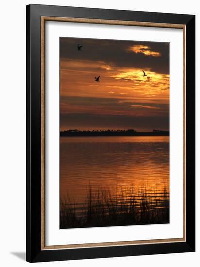 Sunset over a Lake at Panacea, Northern Florida, Usa-Natalie Tepper-Framed Photo