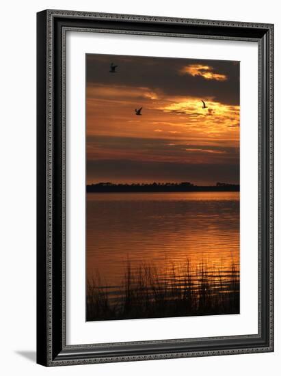 Sunset over a Lake at Panacea, Northern Florida, Usa-Natalie Tepper-Framed Photo