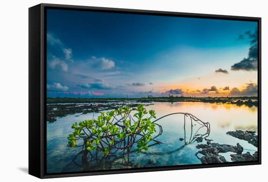 Sunset Over A Saltwater Tidal Creek And Mangrove Forest On The Island Of Eleuthera, The Bahamas-Erik Kruthoff-Framed Stretched Canvas