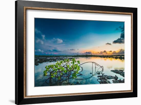 Sunset Over A Saltwater Tidal Creek And Mangrove Forest On The Island Of Eleuthera, The Bahamas-Erik Kruthoff-Framed Photographic Print