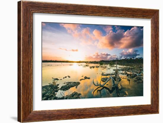 Sunset Over A Saltwater Tidal Creek And Mangrove Forest On The Island Of Eleuthera, The Bahamas-Erik Kruthoff-Framed Photographic Print