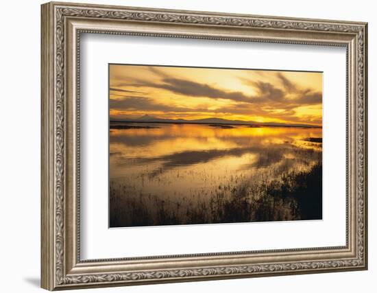 Sunset over a Wetland-DLILLC-Framed Photographic Print