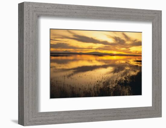 Sunset over a Wetland-DLILLC-Framed Photographic Print