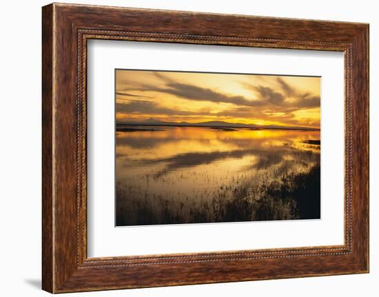 Sunset over a Wetland-DLILLC-Framed Photographic Print