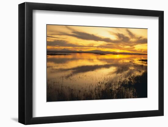 Sunset over a Wetland-DLILLC-Framed Photographic Print