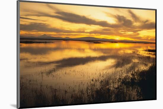 Sunset over a Wetland-DLILLC-Mounted Photographic Print