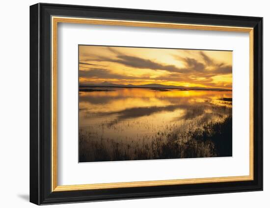 Sunset over a Wetland-DLILLC-Framed Photographic Print