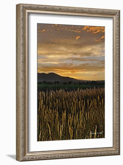 Sunset over Bear Tooth-Amanda Lee Smith-Framed Photographic Print