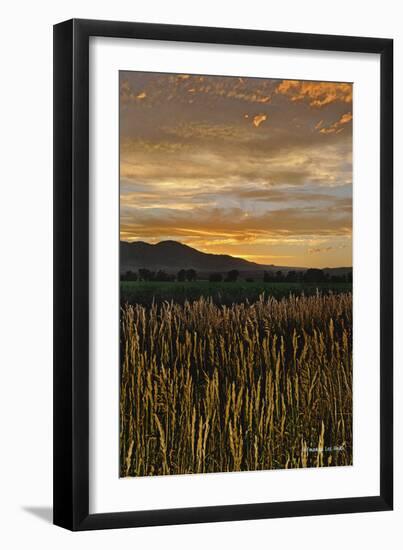 Sunset over Bear Tooth-Amanda Lee Smith-Framed Photographic Print