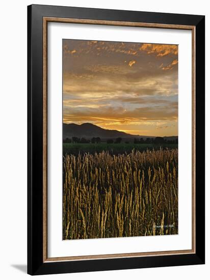 Sunset over Bear Tooth-Amanda Lee Smith-Framed Photographic Print