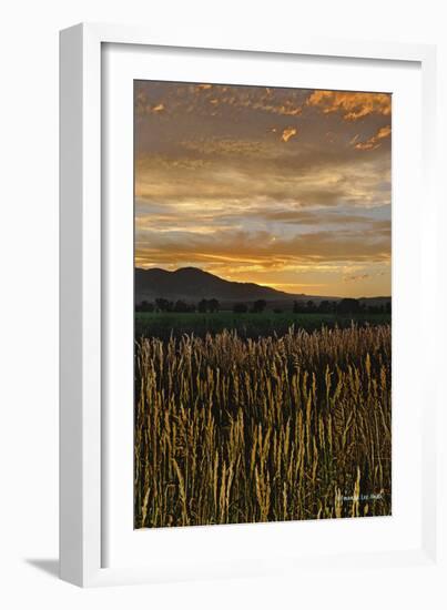 Sunset over Bear Tooth-Amanda Lee Smith-Framed Photographic Print