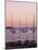 Sunset Over Boats, Tregastel, Cote De Granit Rose, Cotes d'Armor, Brittany, France-David Hughes-Mounted Photographic Print