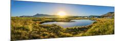 Photographic Print