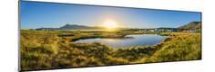 Premium Photographic Print