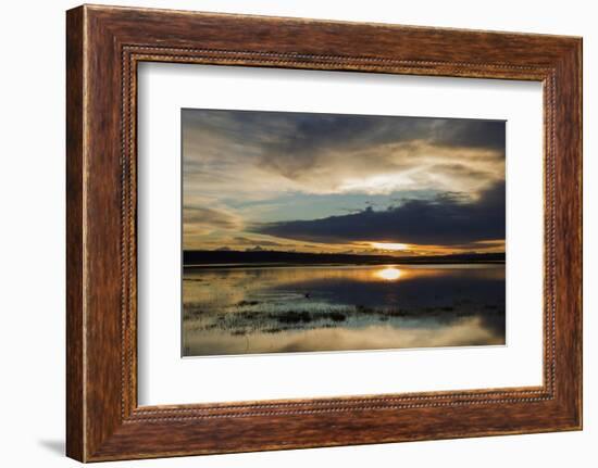 Sunset over flooded farmland-Ken Archer-Framed Photographic Print