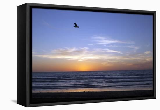Sunset over La Jolla Coast, California, United States of America, North America-Thomas L-Framed Premier Image Canvas