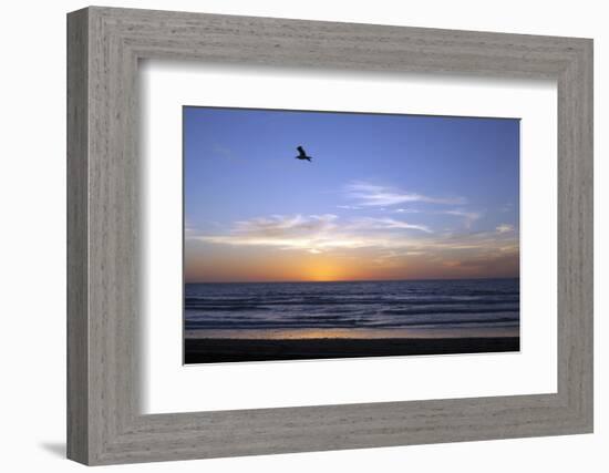 Sunset over La Jolla Coast, California, United States of America, North America-Thomas L-Framed Photographic Print