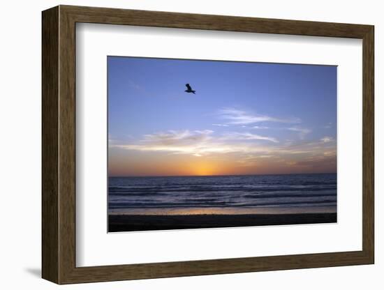 Sunset over La Jolla Coast, California, United States of America, North America-Thomas L-Framed Photographic Print