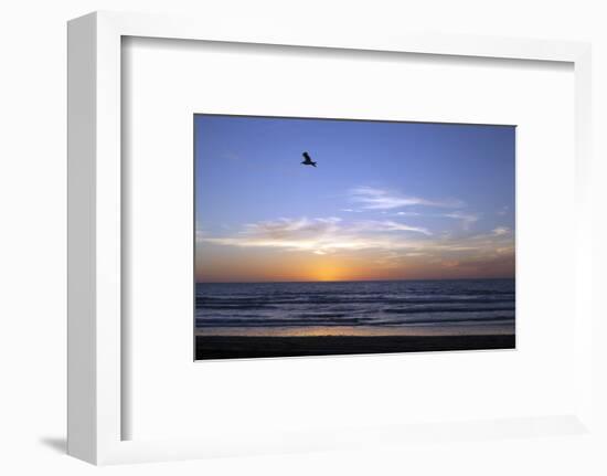 Sunset over La Jolla Coast, California, United States of America, North America-Thomas L-Framed Photographic Print