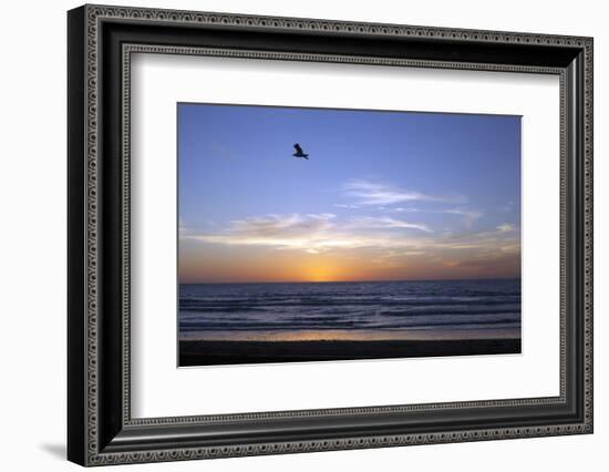 Sunset over La Jolla Coast, California, United States of America, North America-Thomas L-Framed Photographic Print